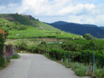 footage from the Wachau Valley